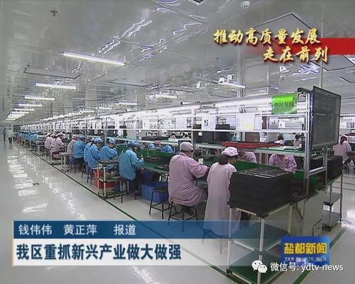 高瞻遠矚 我區聚勢發力新興產業引領生物科技研發新篇章